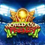 WORLD CUP FRENZY MC